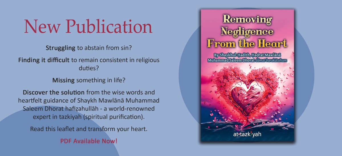 Seerah Related Content