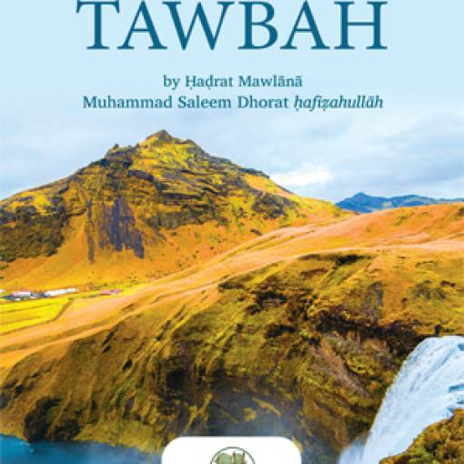 Returning Back to Allāh Through Tawbah