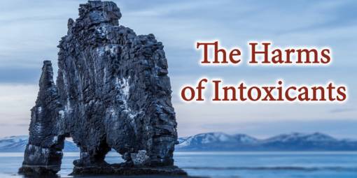 The Harms of Intoxicants